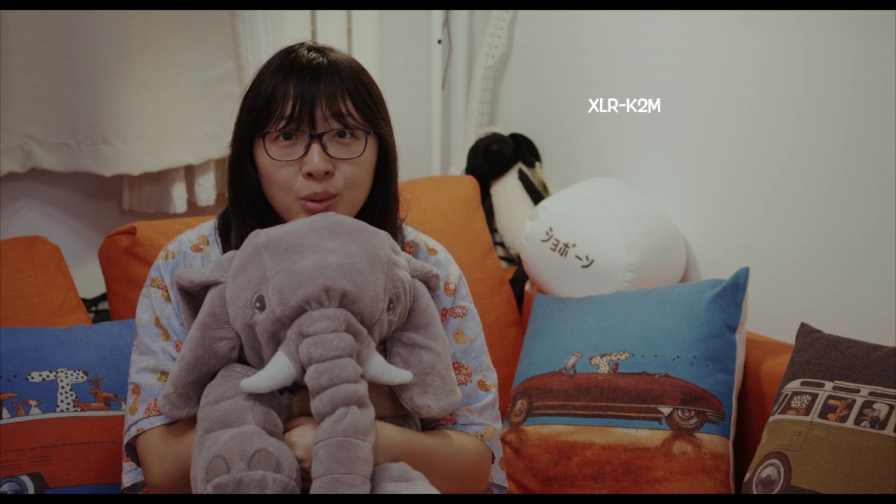 XLR-K2M and ECM-XYST1M Test