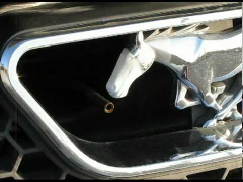 Zex Rapid-Fire Nitrous Oxide Purge