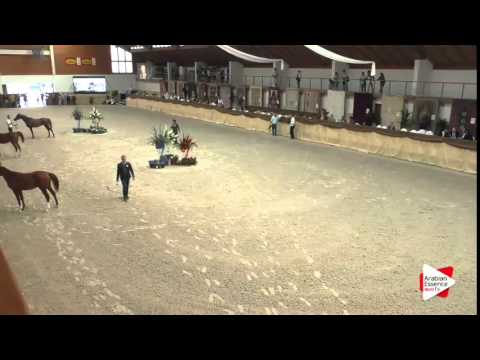 XVI Czech National Championship - Junior Males Championship