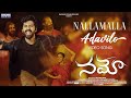 Nallamalla Adavilo Video Song | NAMO | Viswant Duddumpudi | Vismaya Sri | MadhuraAudio