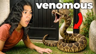 Caught a DEADLY Snake Right at Our Front Door! *Real Footage*