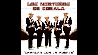 Los Norteños de Cosala - Corrido De Los Sanchez