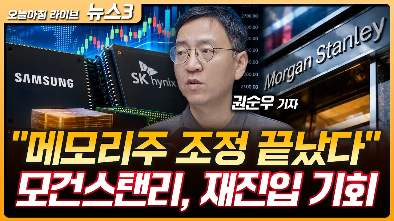 모건스탠리 "메모리주 가파른 조정 끝났다“…소비재·화장품 순환매도 매력 | 정부 'ISA·주가누르기 방지