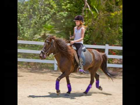 10th Annual Gymkhana, Sunland Ranch