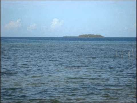 Patisepa         Setievaolongolongo