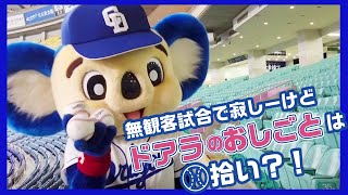 [分享] 中日竜影片「Doala撿球實錄」