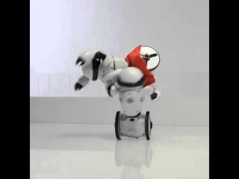 Ｈｅｌｌｏ！ＭｉＰ（ハローミップ） 海外面白映像「フィギュアスケート！」