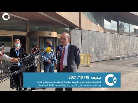 إحاطة الرئيس المشترك للجنة الدستورية السيد هادي البحرة