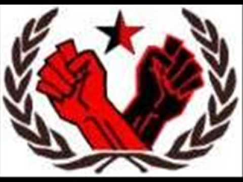 Brigada Flores Magon - RASH