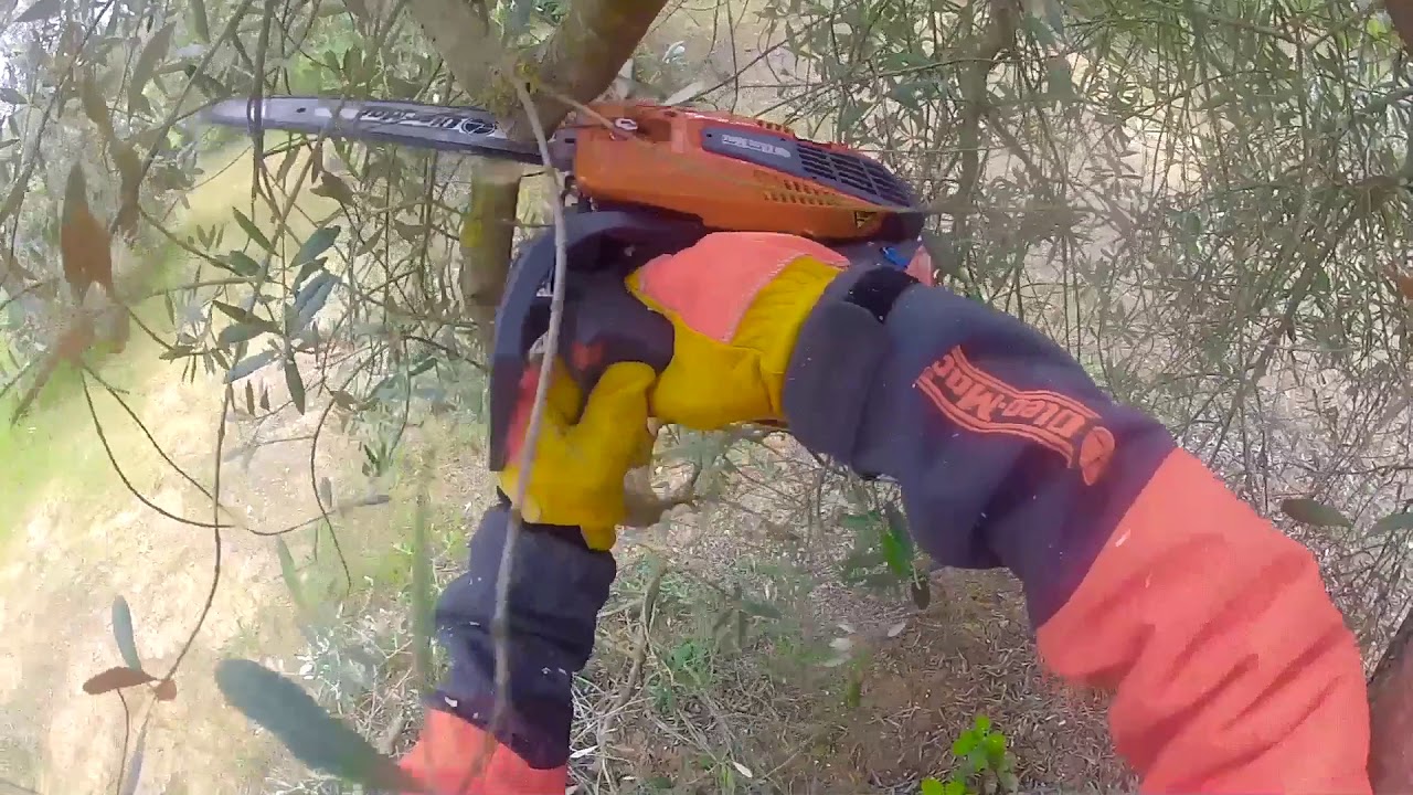 ELAGUEUSE THERMIQUE OLEO-MAC