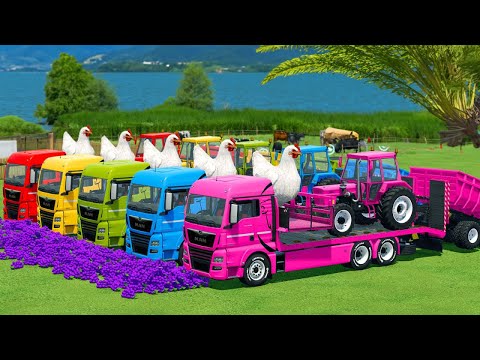 LOAD AND TRANSPORT GIANT CHICKENS & ALFALFA WITH FENDT TRACTORS - Farming Simulator 22