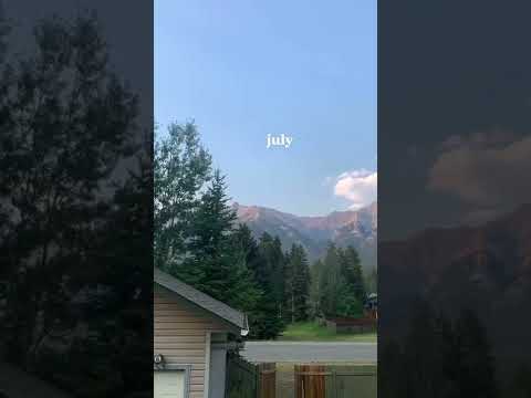 What A Lovely Time It’s Been tiktok anais menard