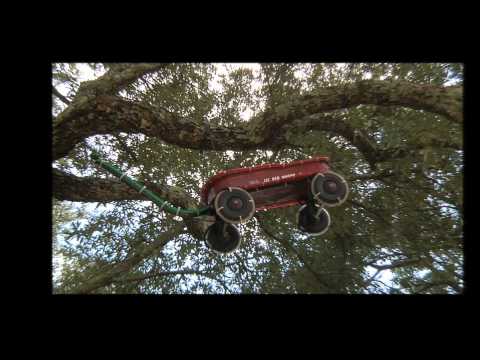 Magic Christmas "Toys in the Trees"