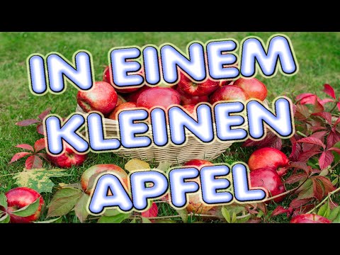 In einem kleinen Apfel | Lied mit Text zum Mitsingen
