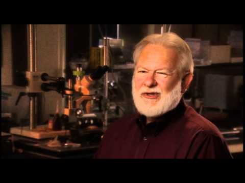 David Nichols: How do you prove the alien presences are real and not hallucinatory?