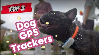 Top 5 Dog GPS Trackers for 2026