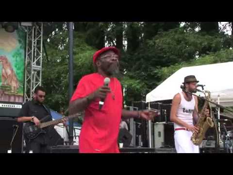 Clinton Fearon - Reggae on the River (2011)