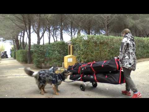 SEGELN auf ELBA mit HAPPY CAT "Hurricane" - Clip 2 - AUFBAU am Strand von Nisporto