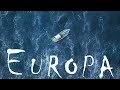 Esserpent - Europa (Official Music Video)