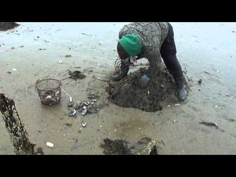 download lagu mp3 mp4 Where To Get Steamers Near Me, download lagu Where To Get Steamers Near Me gratis, unduh video klip Where To Get Steamers Near Me