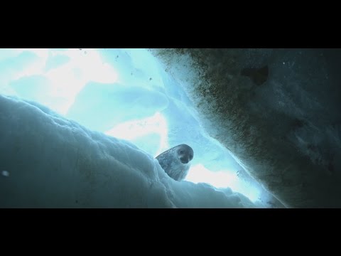 Gombessa 3 expedition - Episode 16