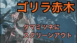 モンハンワイルズ　ゴリのキツネ狩り
