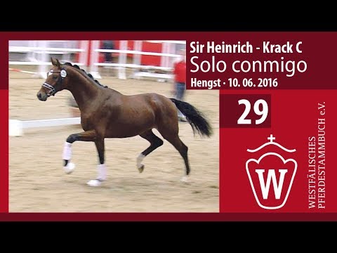 29 Solo conmigo Hengst v. Sir Heinrich - Krack C