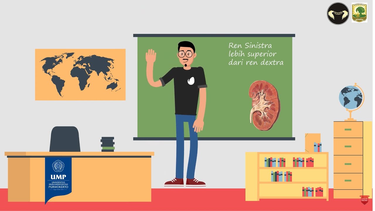 Budi yang Malang Terkena Batu Ginjal : Anatomi Fisiologi Ginjal dan Penyakit Batu Saluran Kemih