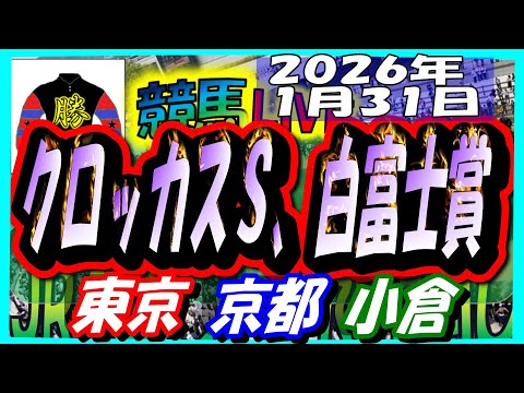 2026年1月31日【競馬 JRA全レース予想ライブ】クロッカスＳ、白富士Ｓ。東京、京都、小倉