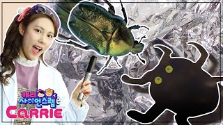 보드마카로 할 수 있는 재밌는 실험 놀이 | 친수성 소수성 | 캐리 사이언스 랩