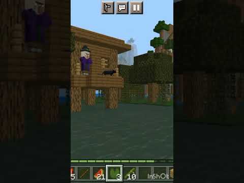EPIC Minecraft Witch House and Black Cat