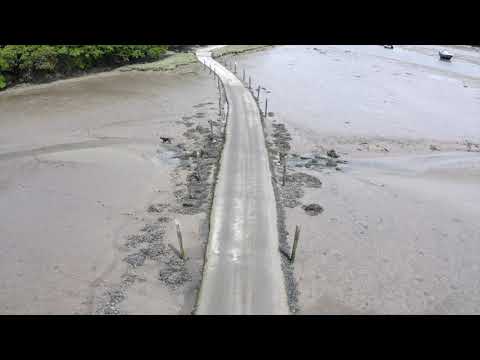 Aveton Gifford May 2020