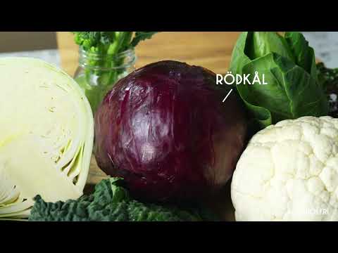 Melleruds x Ludwig Tjörnemos lektion 5: Kål