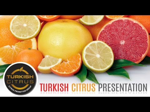 Turkish Citrus Presentation