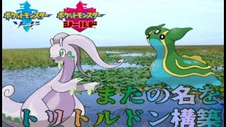 相性抜群！ヌメルトドン構築の動画【ポケモン剣盾】