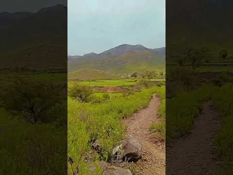 Pastawani 💚 #nature #rabab