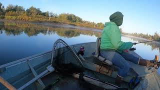 Download Lagu Chehalis river salmon fishing 2024, catching salmon! Thumbnail