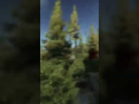 Magyar nyelv szépsége