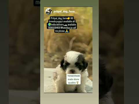 7696039408💬☎️🙏