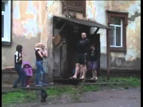 Секс узбека с котёнком