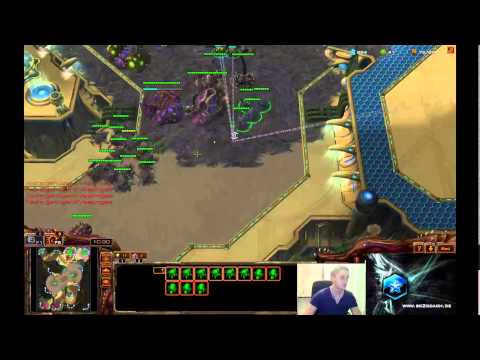 sc2coach - 1vs1 von Bronze bis Master mit Zerg (NA) #14
