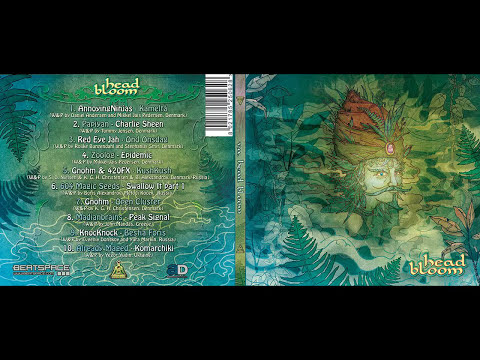 Already Maged - Komarchiki