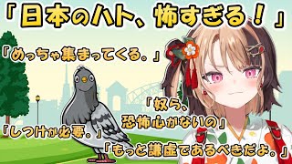 日本のハトの行動に驚き、恐怖するジジ。「あいつら怖いよ！」【日英両字幕 ホロライブEN 翻訳 切り抜き】