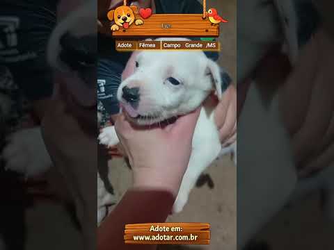 Vídeo de Lia 