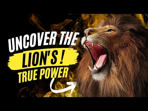 How Strong Is A Lion? - Lion Strength