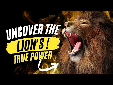How Strong is a Lion - Lion Strength