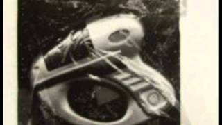 Agent K - Feed The Cat