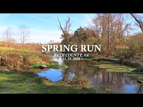Fly Fishing Spring Run, VA
