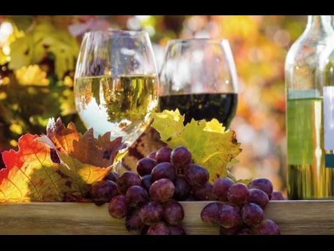 Pinot Grigio, Riesling, Sauvignon blanc, white wine overview!