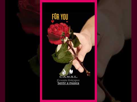 Uma rosa pra ti 💛🌹💛